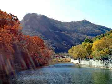 新澳天天开奖资料大全旅游团，车灯贴膜